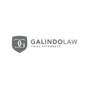Client partner logo — client 11